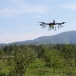 Management of agricultural drones